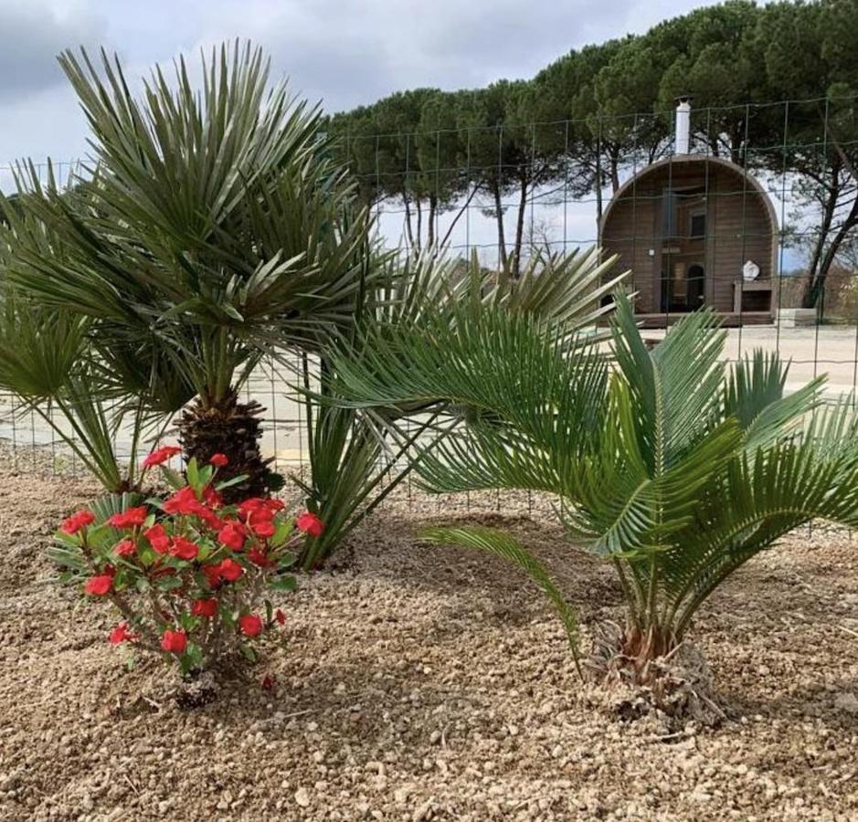Villa Donnola: Casa Rosmarino Фучеккьо Екстер'єр фото